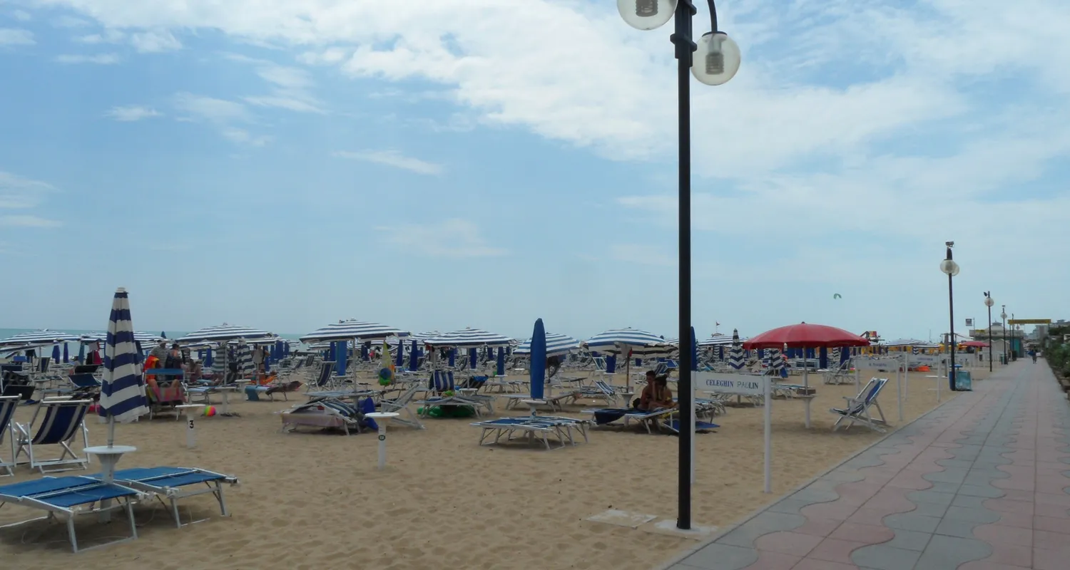 Airport Transfer Venice
In Venice since 2016