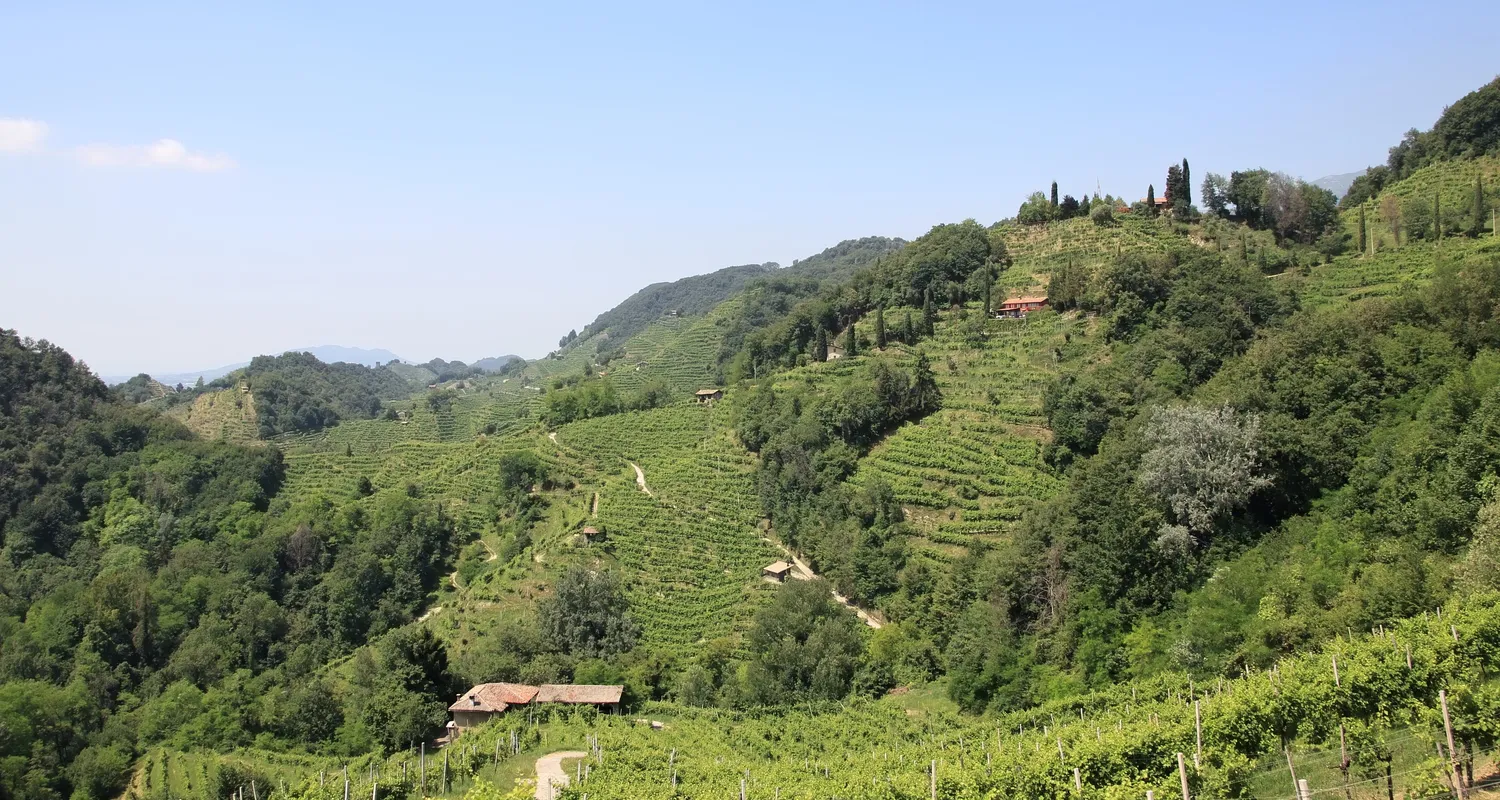 Prosecco Hills